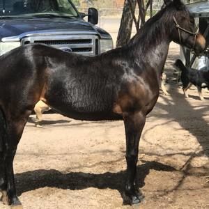 Meet your Posher, Miguel